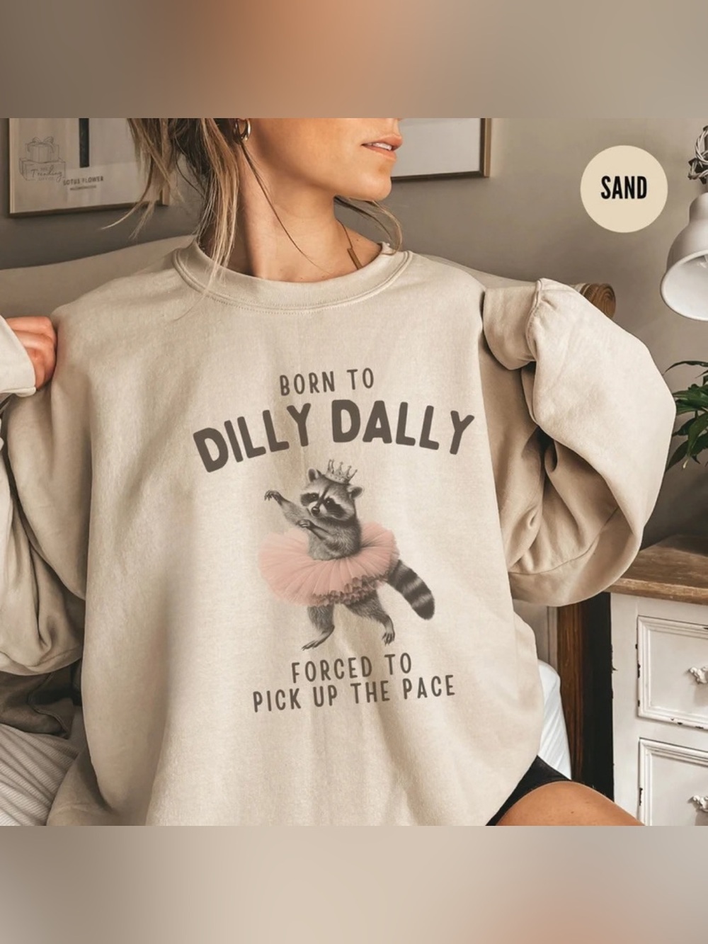 Raccoon Dilly Dally Meme Graphic Sweatshirt, Gift For Raccon Lover, Retro Style